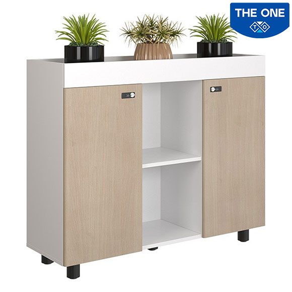 Tủ tài liệu NTV1000-3T2 Laminate kết hợp melamine